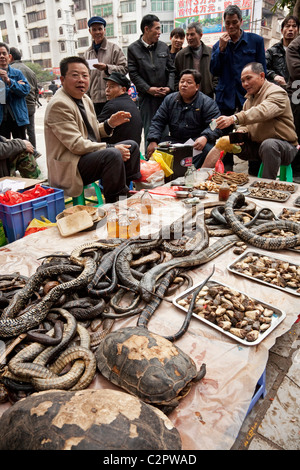 A street vendor selling snake medications to the local people of Guilin China Stock Photo