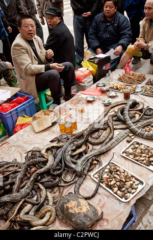 A street vendor selling snake medications to the local people of Guilin China Stock Photo