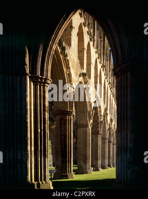 Rievaulx Abbey. View through silhouetted arch to Presbytery arcade looking NE.