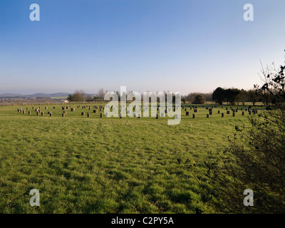 Woodhenge. General view of Woodhenge showing the positions of posts. Stock Photo