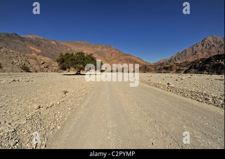Oman, Wadi Bani Awf, rocky mountains with trees and road in Arabian Peninsula