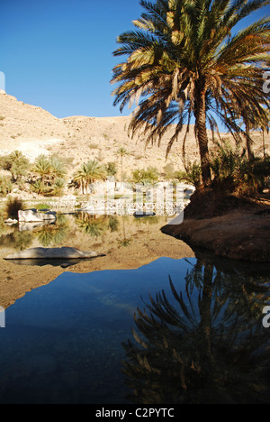 Oman, Wadi Bani Khalid, fan palm trees with rocky mountains against clear sky reflecting in water Stock Photo