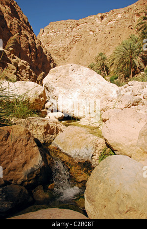 Oman, Wadi Shab, rocks with bushes and water and stones against sky Stock Photo