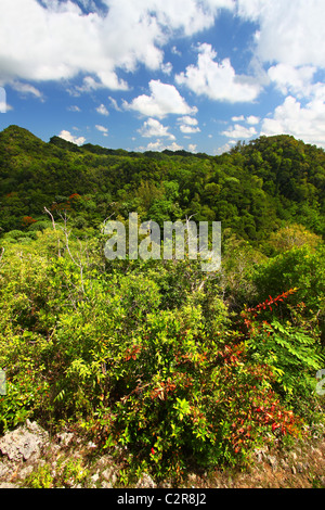 Guajataca Forest Reserve - Puerto Rico Stock Photo