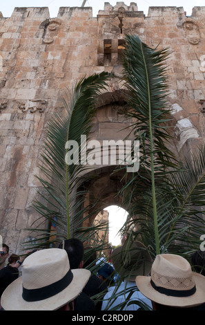 the Palm sunday procession goes from Betphage to Sainte Anne in the Old City through the mount of olives. Stock Photo