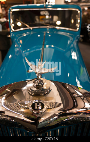 Classic Bentley at the Lakeland Motor Museum, Cumbria, England, UK. Stock Photo