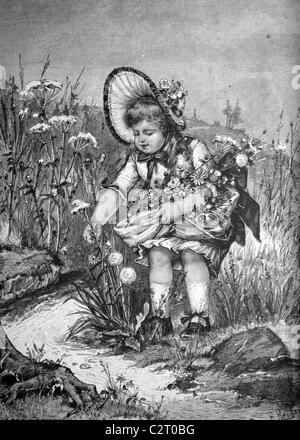 Child picking summer flowers, historical illlustration, about 1886 Stock Photo