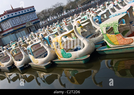 Horizontal view of weird plastic swan pedalos on Truc Bach Lake (Hồ Trúc Bạc) in central Hanoi on a sunny day. Stock Photo