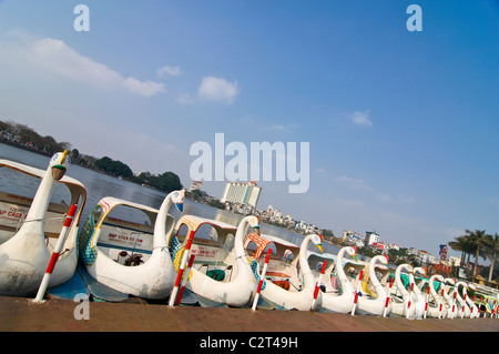 Horizontal view of weird plastic swan pedalos on Truc Bach Lake (Hồ Trúc Bạc) in central Hanoi on a sunny day. Stock Photo