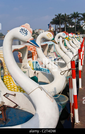 Vertical close up of weird plastic swan pedalos on Truc Bach Lake (Hồ Trúc Bạc) in central Hanoi on a sunny day. Stock Photo