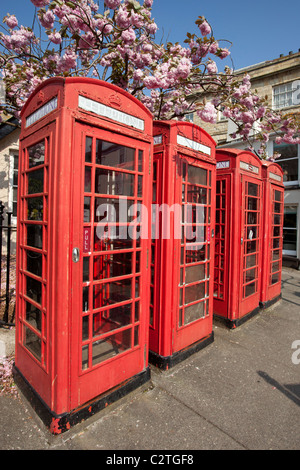 Row of 4 red phone British boxes in Truro, Cornwall UK. Stock Photo