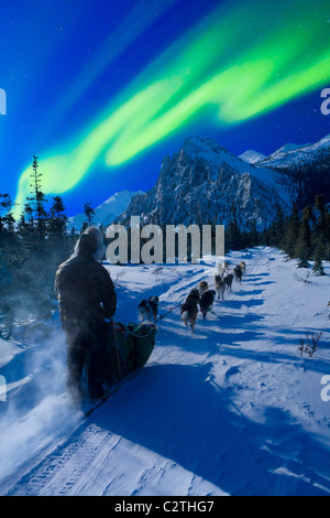 Musher and dog team traveling beneath the Aurora in the White Mountains Recreation Area, Composite Stock Photo