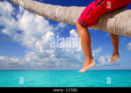 Caribbean inclined palm tree beach trunk sitting tourist legs Stock Photo