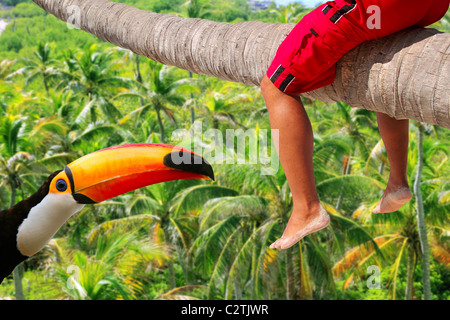Horizontal palm tree trunk sitting legs tropical toucan vacation metaphor Stock Photo