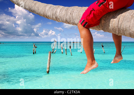 Caribbean inclined palm tree beach trunk sitting tourist legs Stock Photo