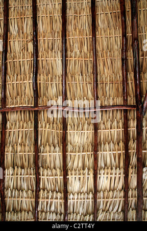 dried palm tree leaves palapa roof and beams view from under Stock Photo