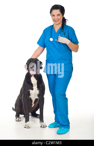 Full length of smiling veterinary woman with a great dane dog Stock Photo
