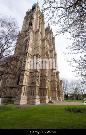 beverley minster cathedral church religious worship building east riding of yorkshire uk Stock Photo