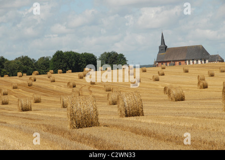 Cornfield after harvest in Northern France's Picardie region with golden straw balls. Stock Photo