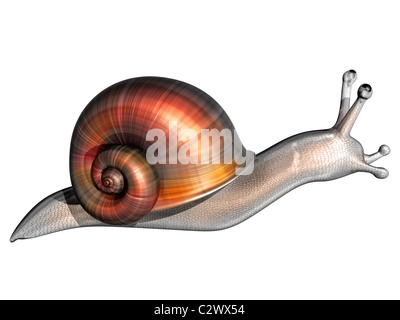 Illustration of a stylized garden snail isolated on white Stock Photo