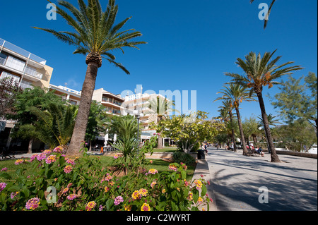 Holiday accommodation, palm trees and flowers in the beautiful resort of Puerto Pollensa, Mallorca, Spain. Stock Photo