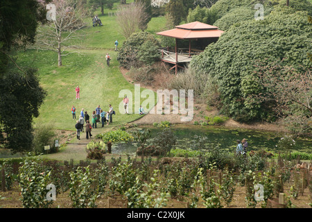 Open day at the Tregothnan estate- manor and gardens home of Lord Falmouth Stock Photo