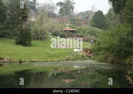 Tregothnan estate manor and gardens home of Lord Falmouth Stock Photo