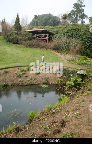 Open day at the Tregothnan estate- manor and gardens home of Lord Falmouth Stock Photo