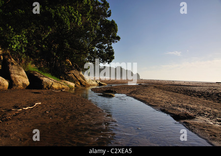 Hot Water Beach, Mercury Bay, Coromandel Peninsula, Waikato Region, North Island, New Zealand Stock Photo