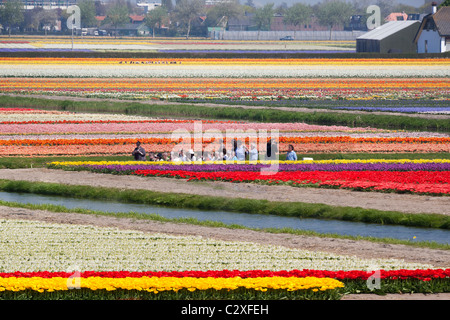 Keukenhof Flower Garden in Lisse, Holland. Visitors taking a trip through the flowering tulip fields by electric powered boat. Stock Photo