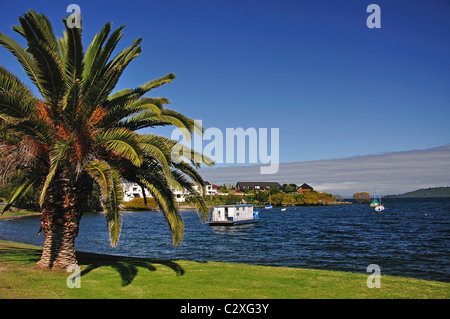 Lakefront view at Mile Bay, Lake Taupo, Taupo, Waikato Region, North Island, New Zealand Stock Photo