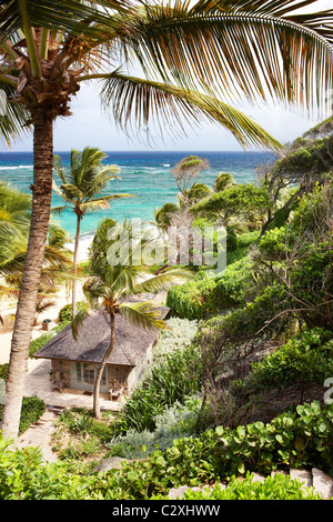 Island paradise beach private exclusive Mustique Caribbean palm trees secluded no people sky sand sea deserted sunny sunshine ocean hammock blue Stock Photo