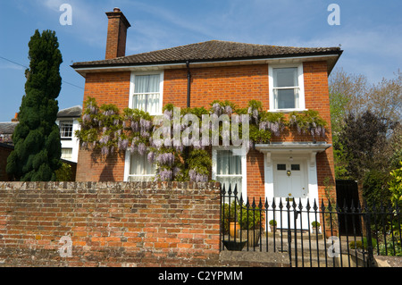 Wisteria growing on a red brick cottage, Romsey, Hampshire, UK Stock Photo