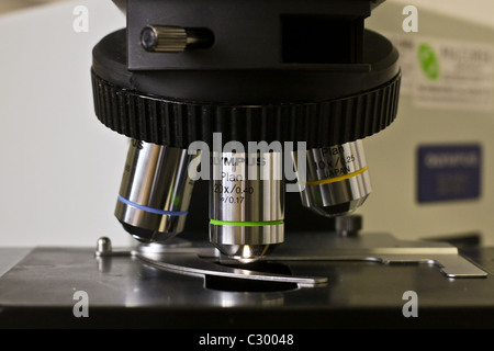 Close up of the lenses of an Olympus microscope in a laboratory Stock Photo