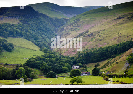 Hill farm on mountain slopes at Tal-Y-LLyn, Snowdonia, Gwynned, Wales Stock Photo