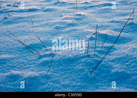 Snow crystals in a snow-covered field in The Cotswolds, Swinbrook, Oxfordshire, United Kingdom Stock Photo