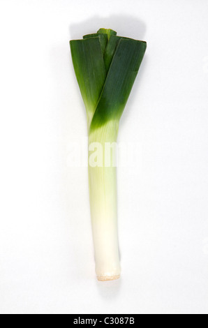Leek Stock Photo