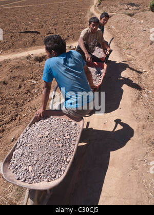 Three young adult male workers haul wheelbarrows full of crushed rock for construction of a new house in Guatemala. Stock Photo