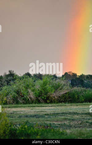 Rainbow over park in Denver colorado Stock Photo