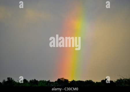 rainbow over park in Denver colorado Stock Photo