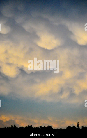 puffy beautiful cumulus clouds over park in Denver Coloardo Stock Photo