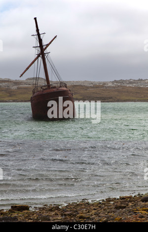 The listing wreck of the Lady Elizabeth, Port Stanley, East Falklands Stock Photo