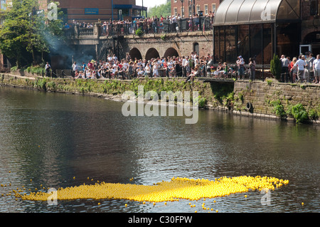 Spectators at the Mark Addy pub on the banks of the River Irwell  for the 2nd Manchester Duck Race,Spinningfields,Manchester. Stock Photo