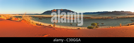 Panoramic view showing the unique ecology of the south-west Namib desert or pro-Namib. NamibRand Nature Reserve, Namibia Stock Photo