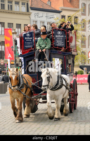 Antwerp / Antwerpen, Belgium. Horse-drawn open-topped tourist 'bus' Stock Photo