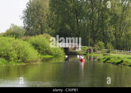 The River Bure above Oxnead bridge, Norfolk. Stock Photo