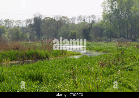 The River Bure between Oxnead and Burgh-next-Aylsham, Norfolk. Stock Photo