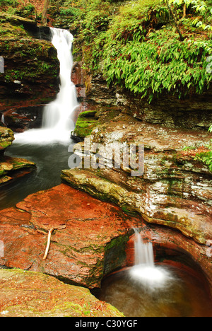 Adams falls In Ricketts Glen State Park, Pennsylvania Stock Photo