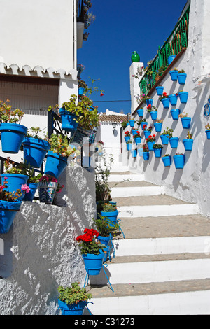 Blue plant pots on white wall in Patio de las Comedias, Iznajar village, Cordoba province, Andalusia, Spain Stock Photo