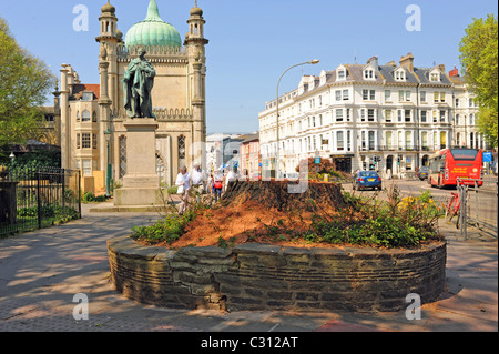 Tree damaged by Dutch Elm disease after being cut down near the Royal Pavilion in Brighton city centre UK Stock Photo